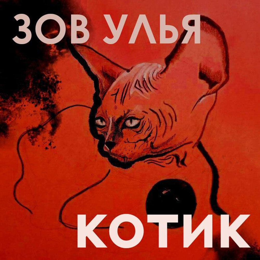 Зов кота. Зов котиков. Сингл кот. Котик слушает музыку. Котик Single Version.