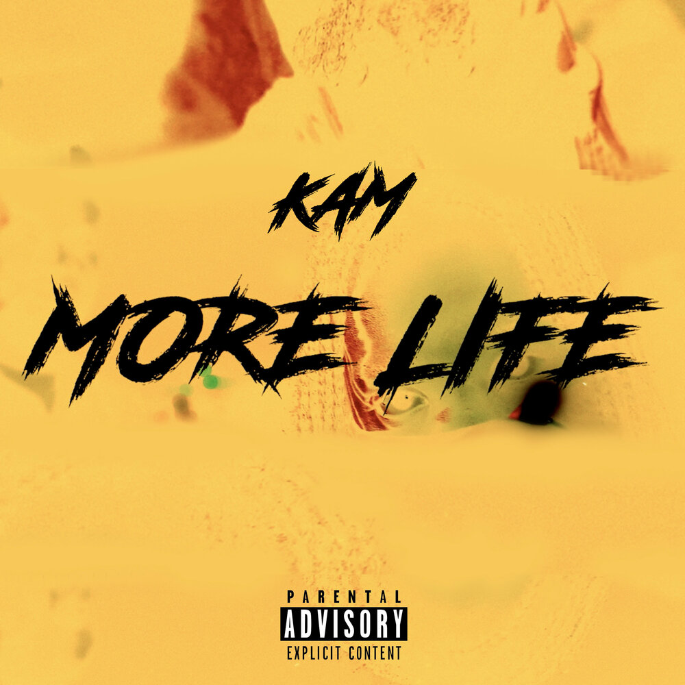 гача лайф. гача gacha. гача лайф герои. гача лайф. Kam air logo.