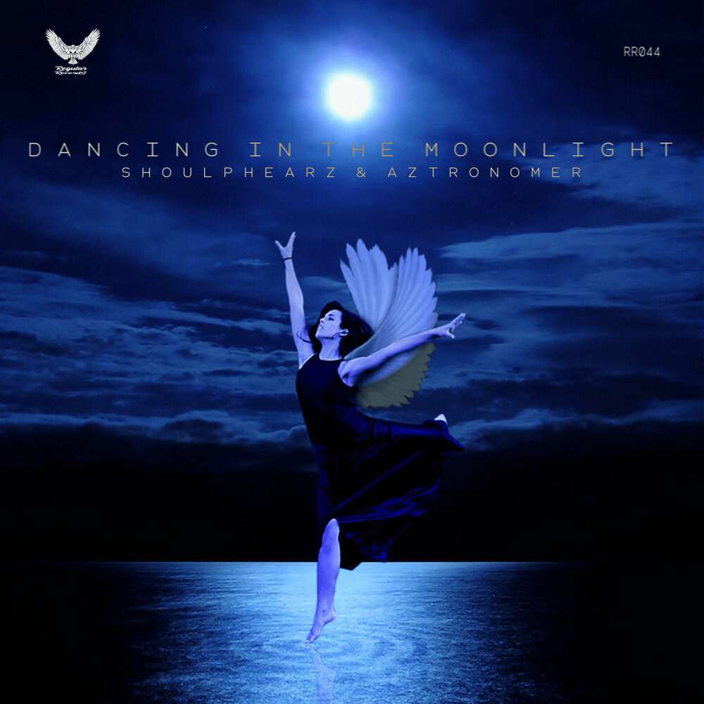 Dancing in the moonlight. Night Bird певица. Песня Dance in the Moonlight like a Dance.