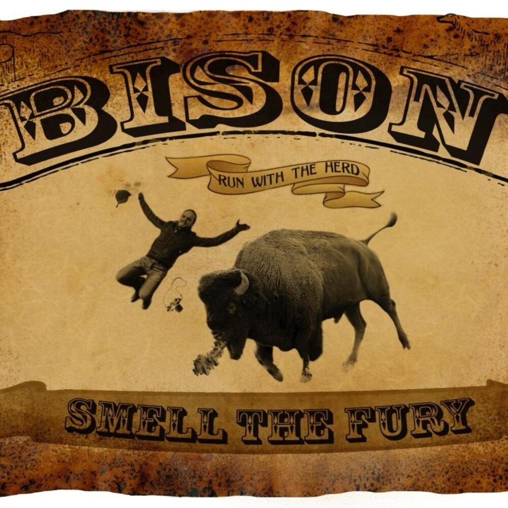 Бизон песня. Mr.Bison альбомы. Bison b. Песня про бизона. Bison by Bravado.