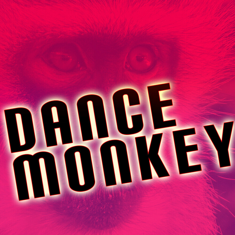 Dance Monkey Song Download - the noob song roblox mp3 hay nhat tai nhac mp3