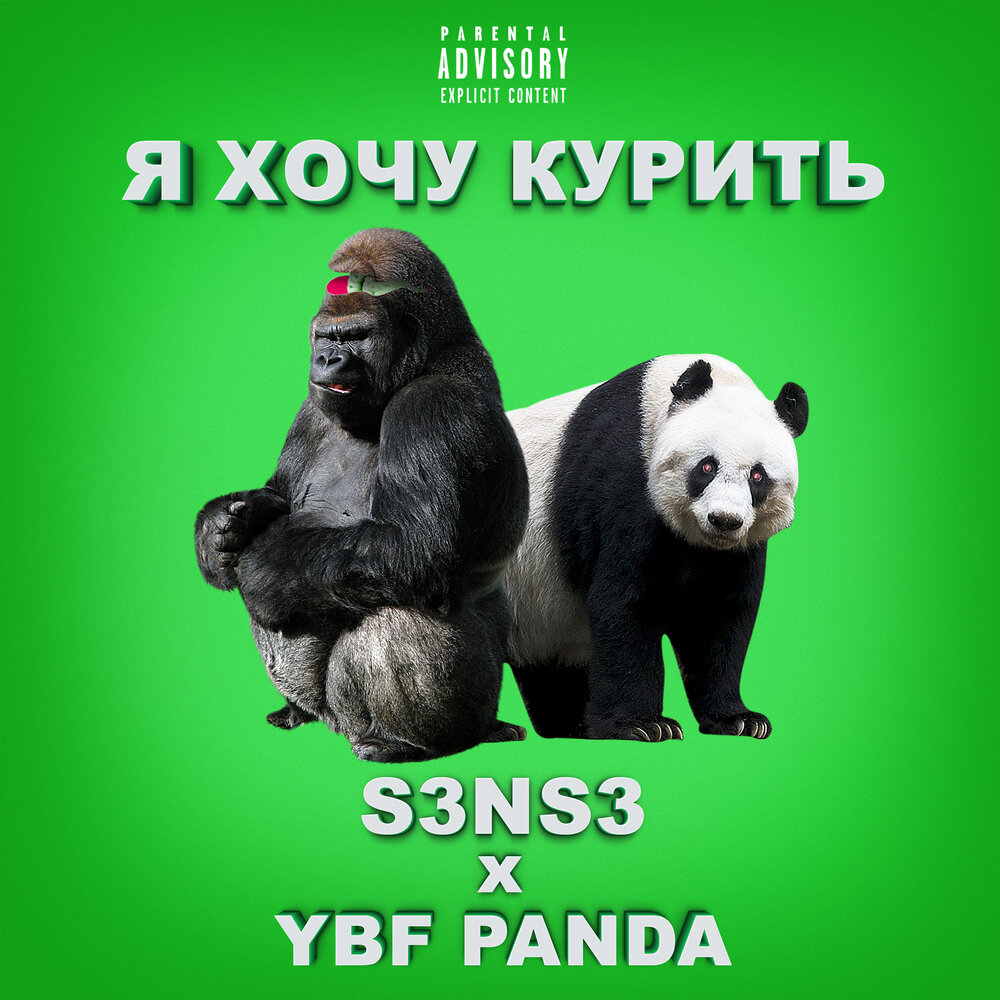 Panda Lucci. 3 Pandas 2 Night. YBF.