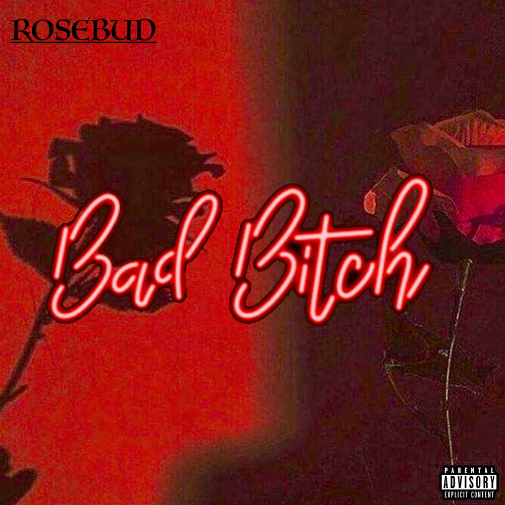 Песня bad bitch