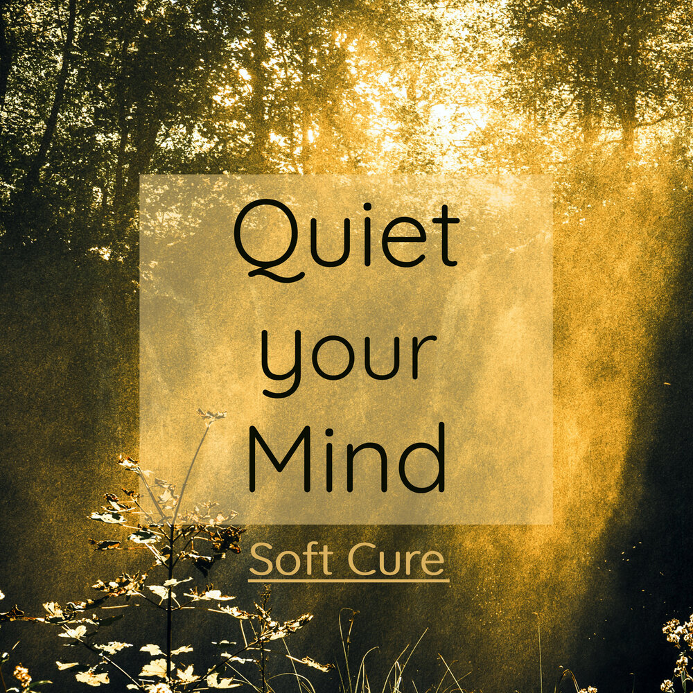 Quiet your mind. Quiet your mind. Quiet your mind. Передайс груп. Sleep pattern.
