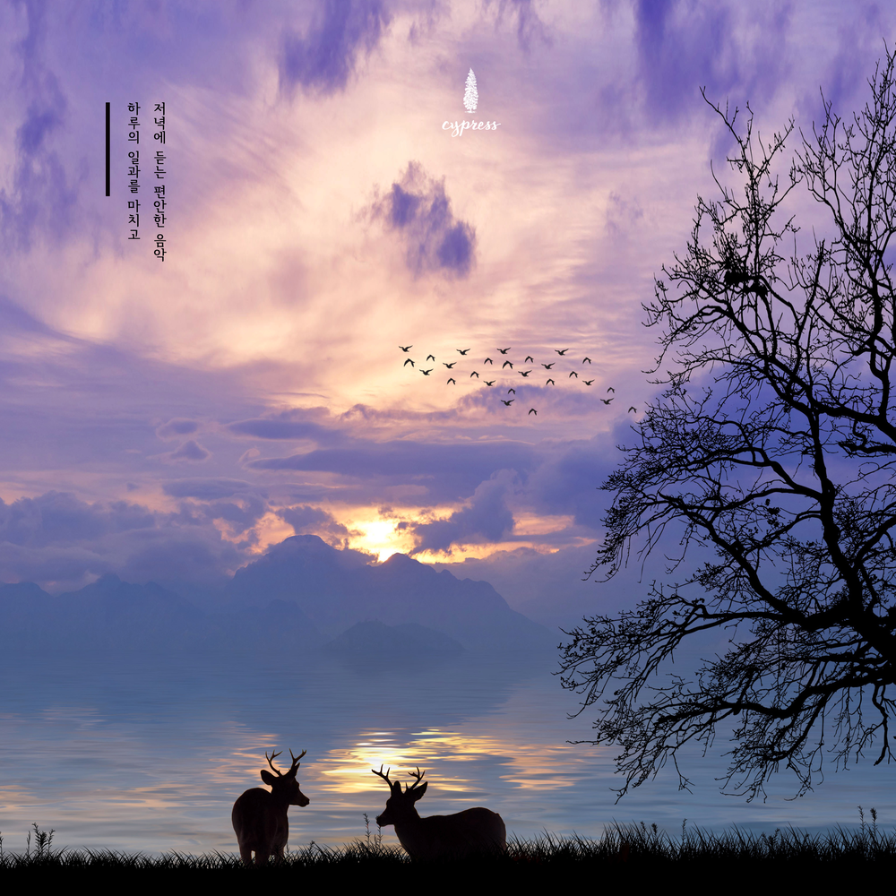 открытки have a good evening. Have a good evening. любовь дэвид реншоу. Good evening and good night. Good night зима.