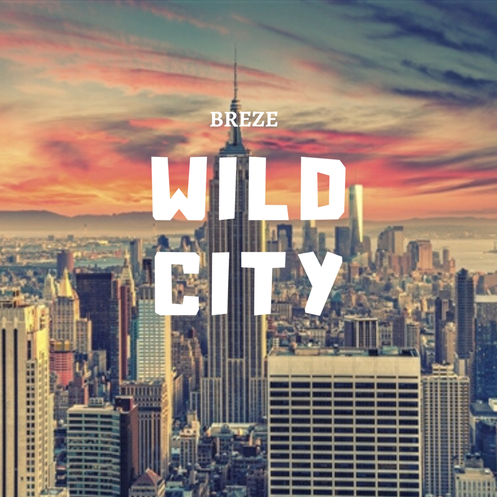 Wild city. City оригинал. Wilderness City. NOLIMIT City Wild Toro.