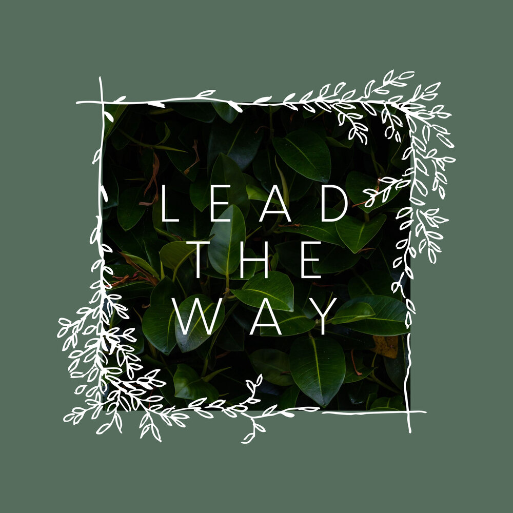 The lead album