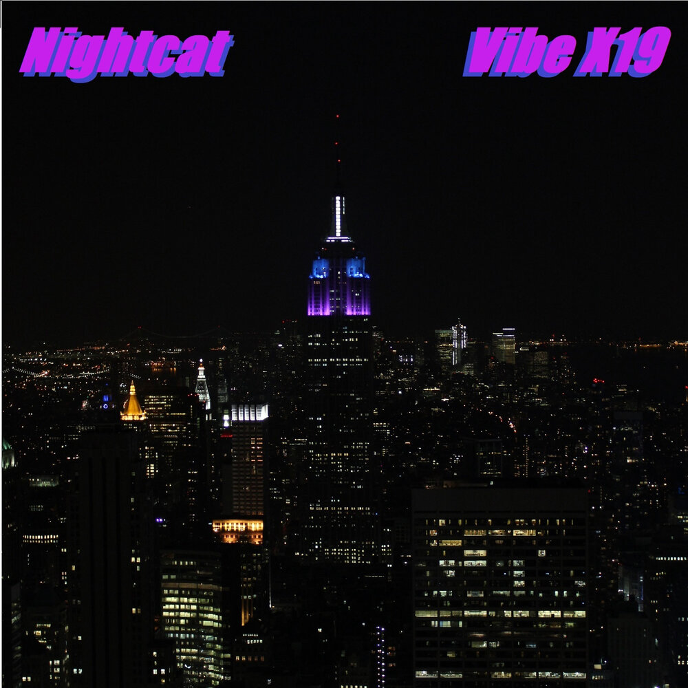 Nightcat 1. NIGHTCAT - 1991 - NIGHTCAT. NIGHTCAT.