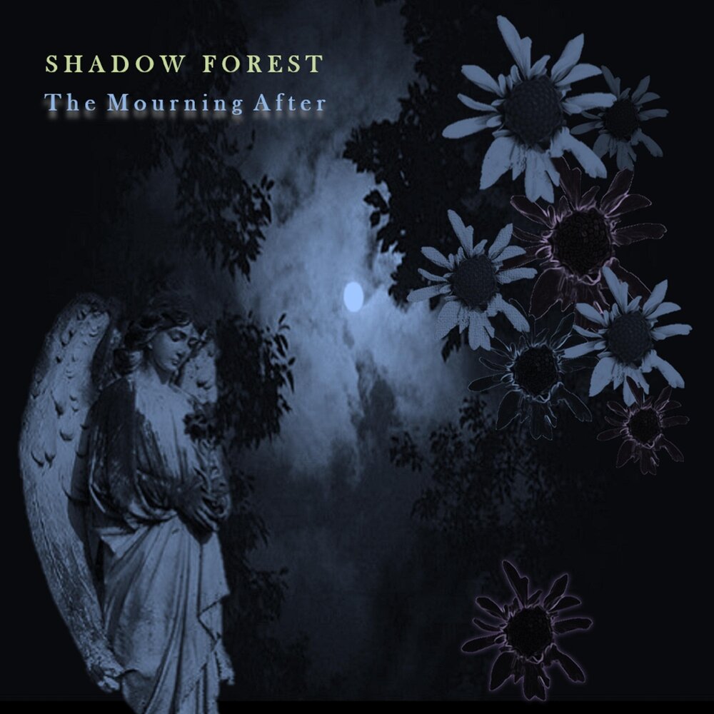 Shadow hours. Forest of Shadows departure 2004. Soul Shatters. Forest of Shadows - Six Waves of Woe. The Shadow of the Soul.