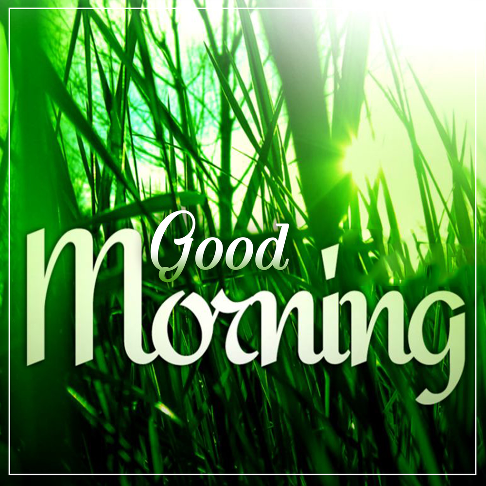 Доброе утро картинки пожелания на английском языке Good Morning New Day - Tony. Слушать онлайн на Яндекс.Музыке
