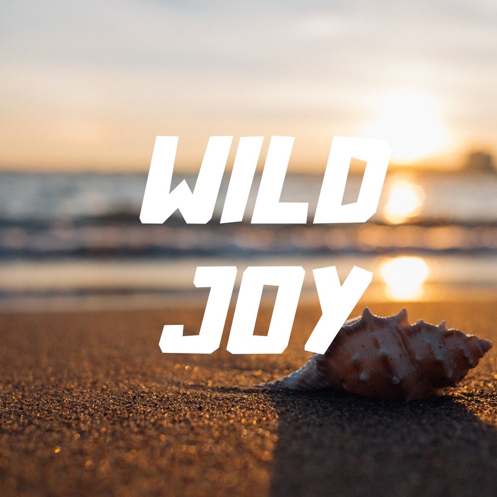 Дики джой. Wild joy. New flash current joys. Дики джой. Wild joy.