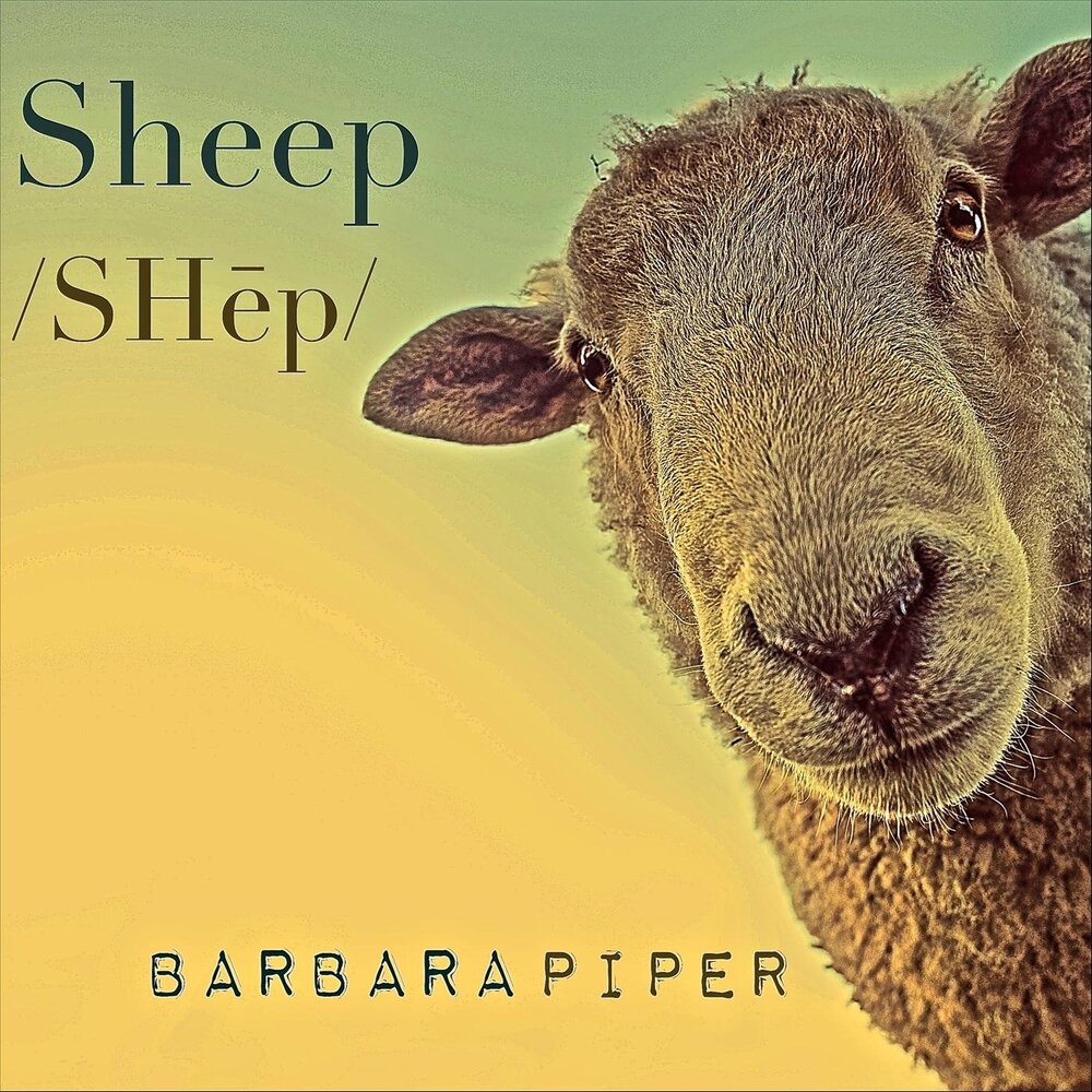 Песни sheep up. Barbs Pipers.