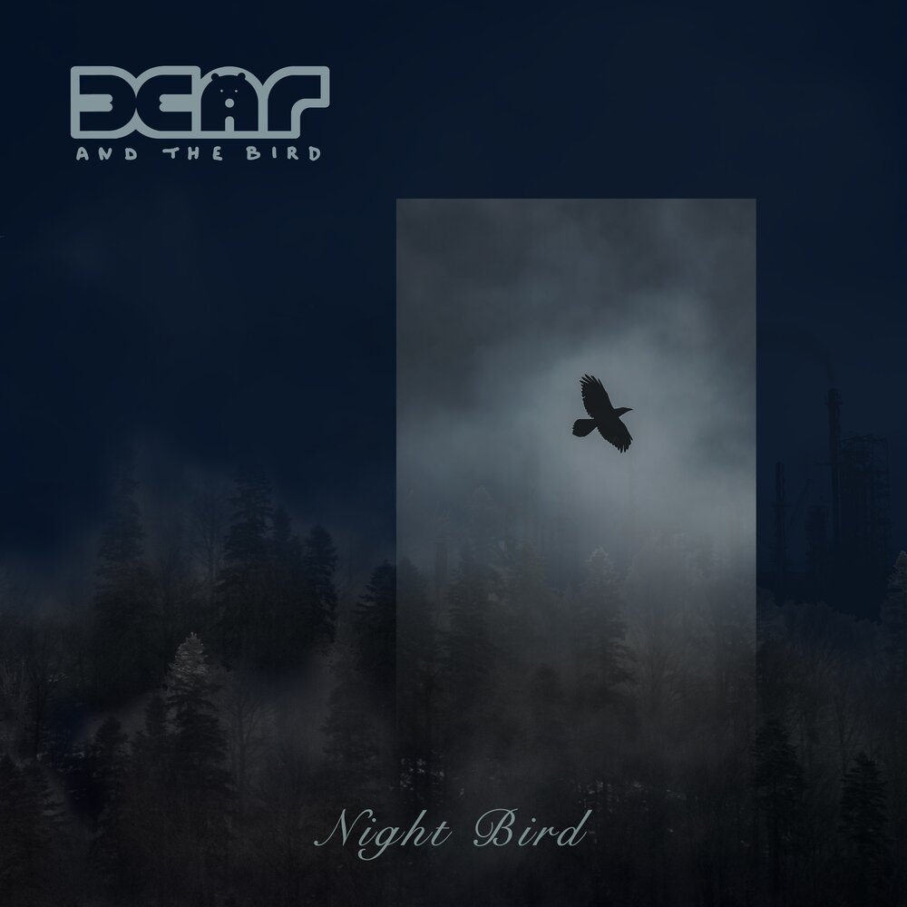 The night birds. Кинофильм м. Shakatak across the world. Shakatak night birds. The night birds.