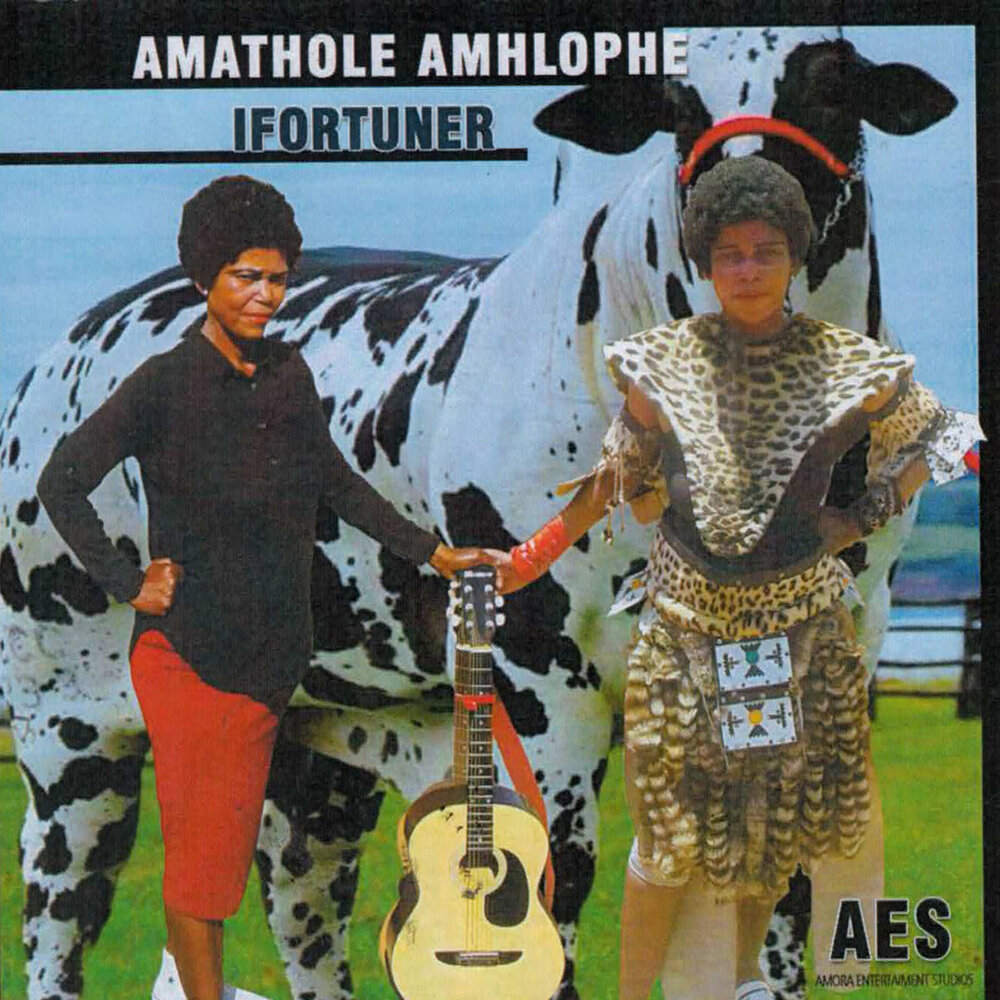 Amathole rhythmrebel перевод. Amathole исполнитель. Amathole rhythmrebel. Слушать песню Amathole joezi. Amathole перевод.
