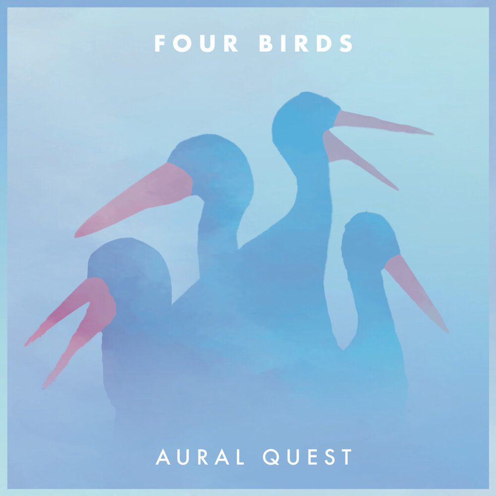 Four a birds. Полароид птица. Будущее птиц.