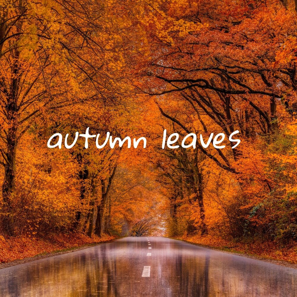тёплая осень. Eric clapton autumn leaves. осенние картинки на рабочий стол. Leaves слушать. Alone without you.