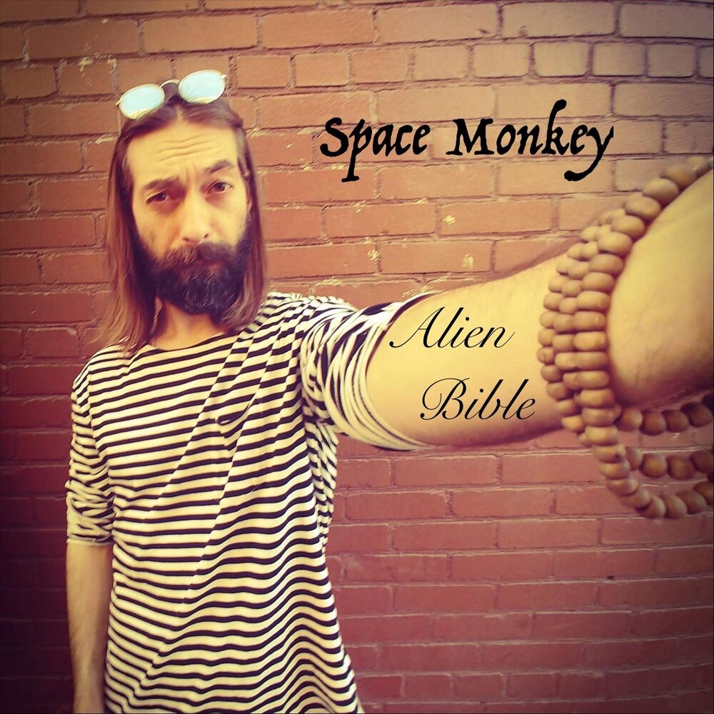 Манки слушать. Спейс манки. Манки слушает музыку. Space Monkey.