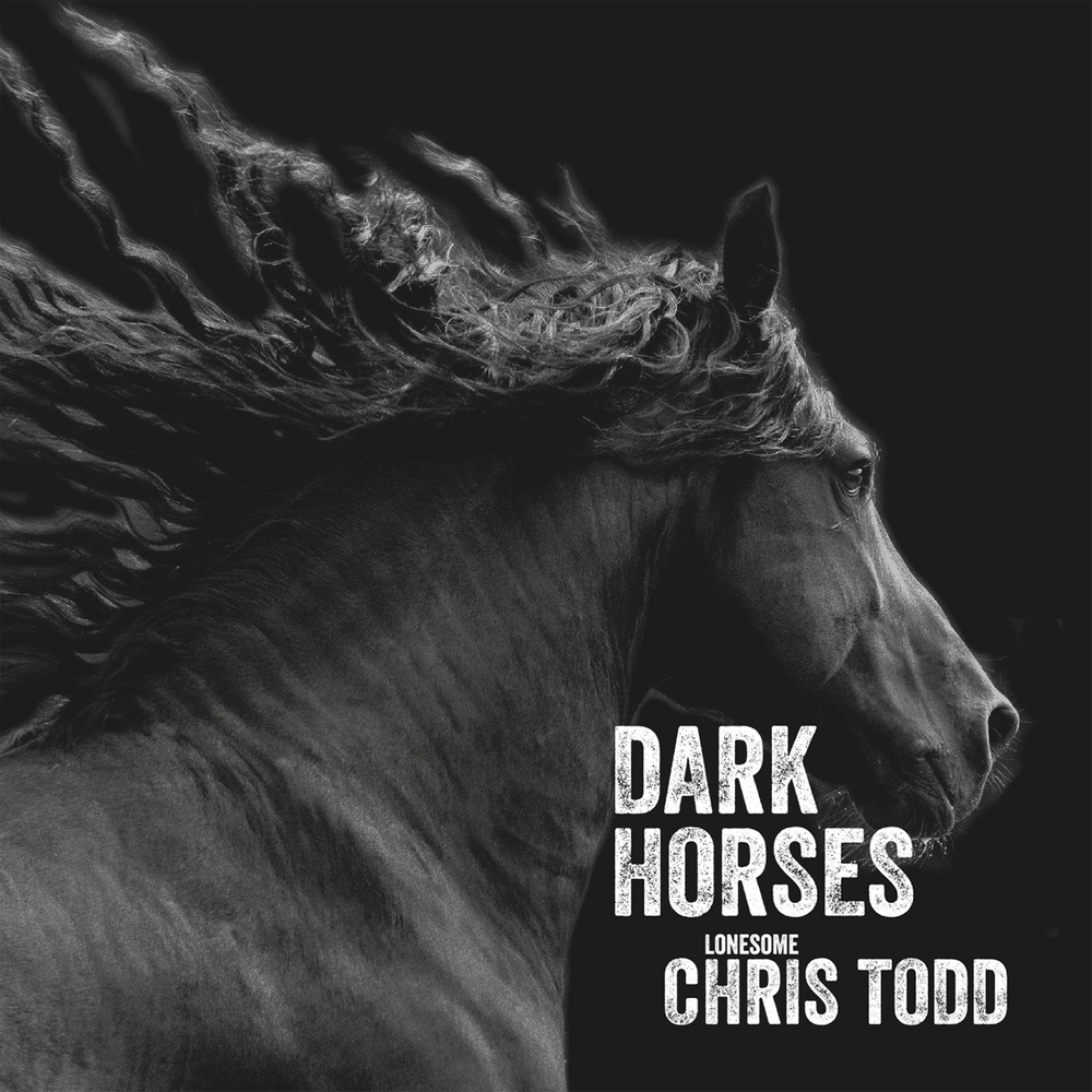 Песня dark horse. Dark Horse. Dark Horses Band. Кто такая темная лошадка. Темная лошадка человек.