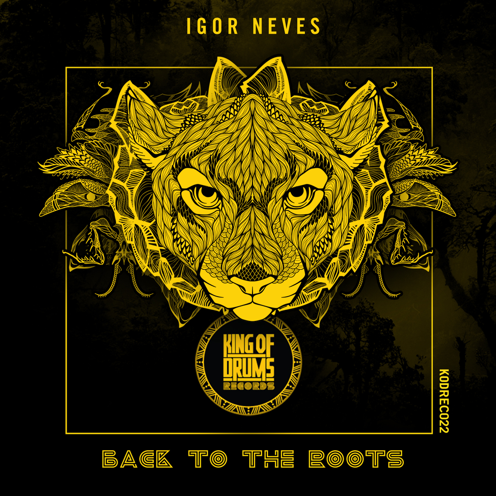 Back to the roots. Back to the roots. проект back to the roots. Live - back to the roots. проект back to the roots.