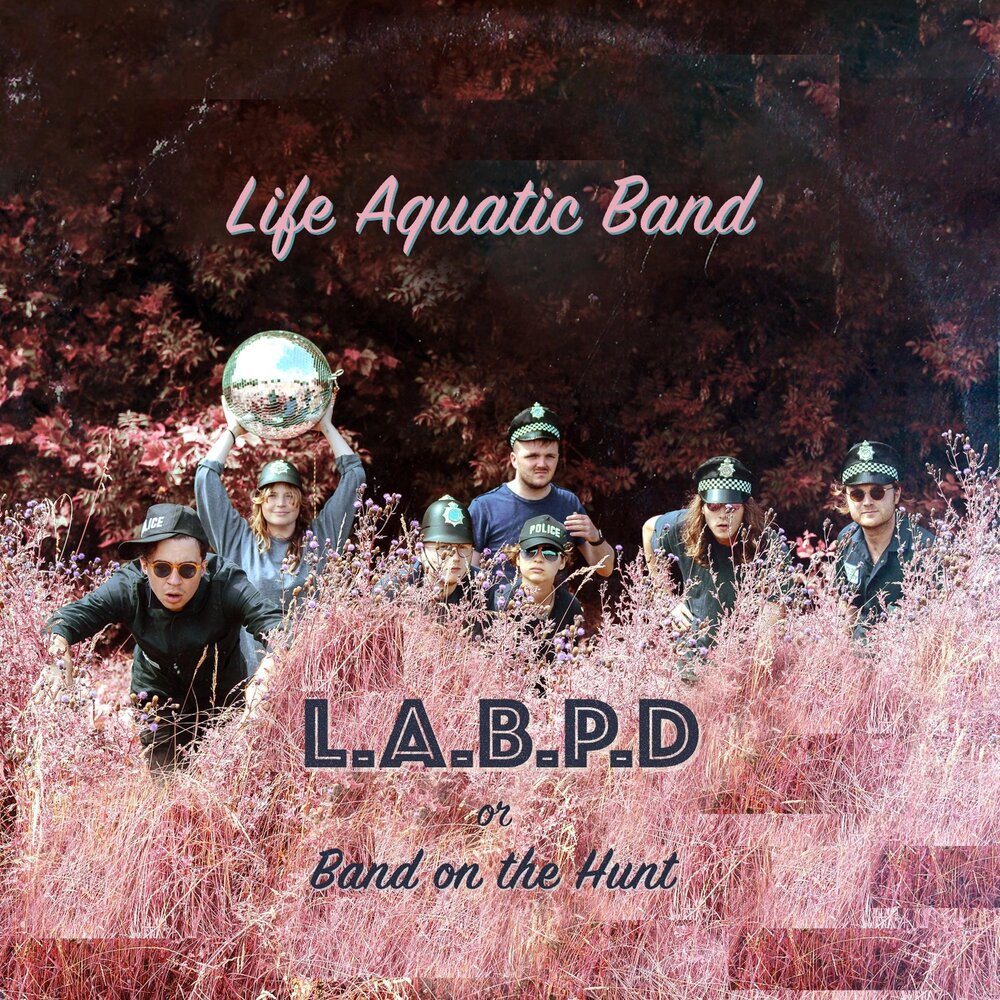 Группа Ride Life. Aqua Band. Aqua Band Windows.