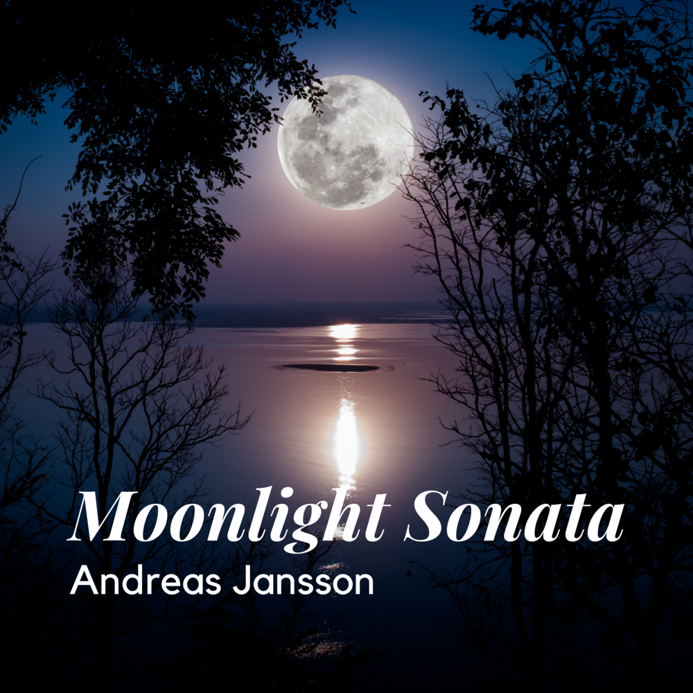 Moonlight sonata. Moonlight Nocturne.