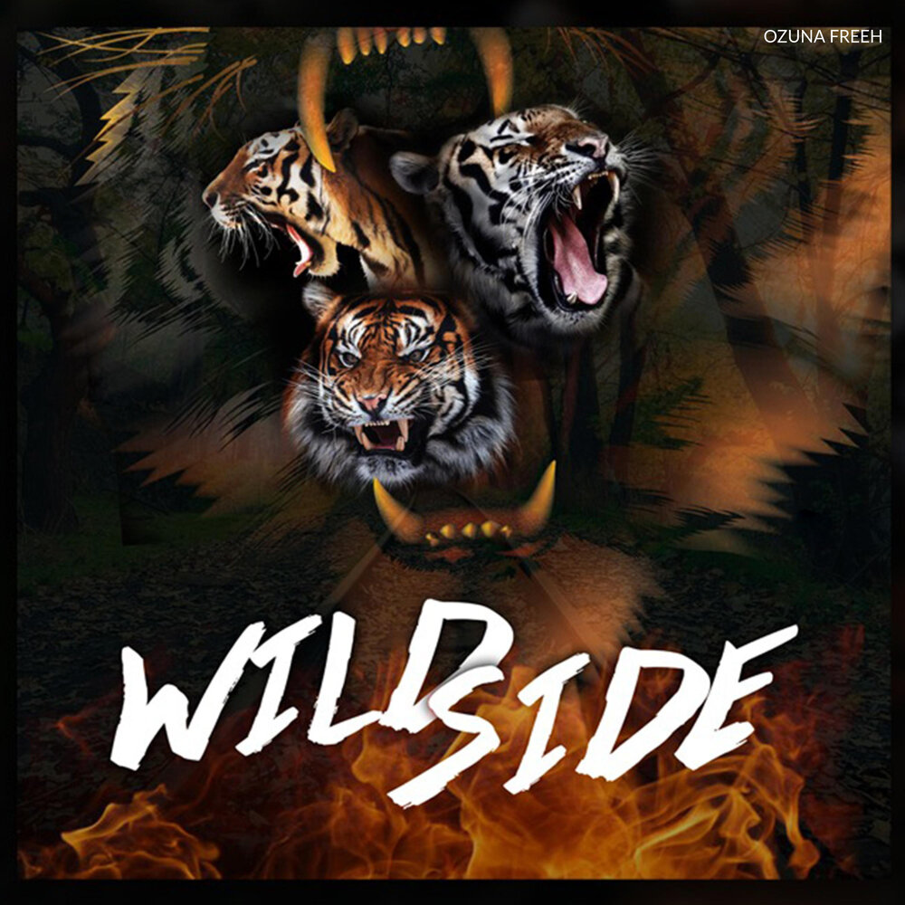 Песня wild side. Wild Side. Ali Wild Side. Wild Side обложка. Wild Side Edit.