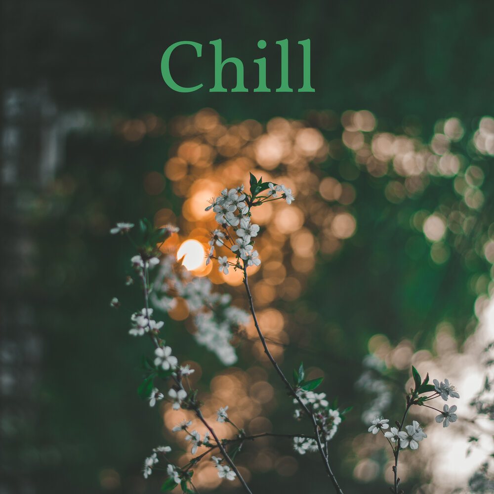 Chill n