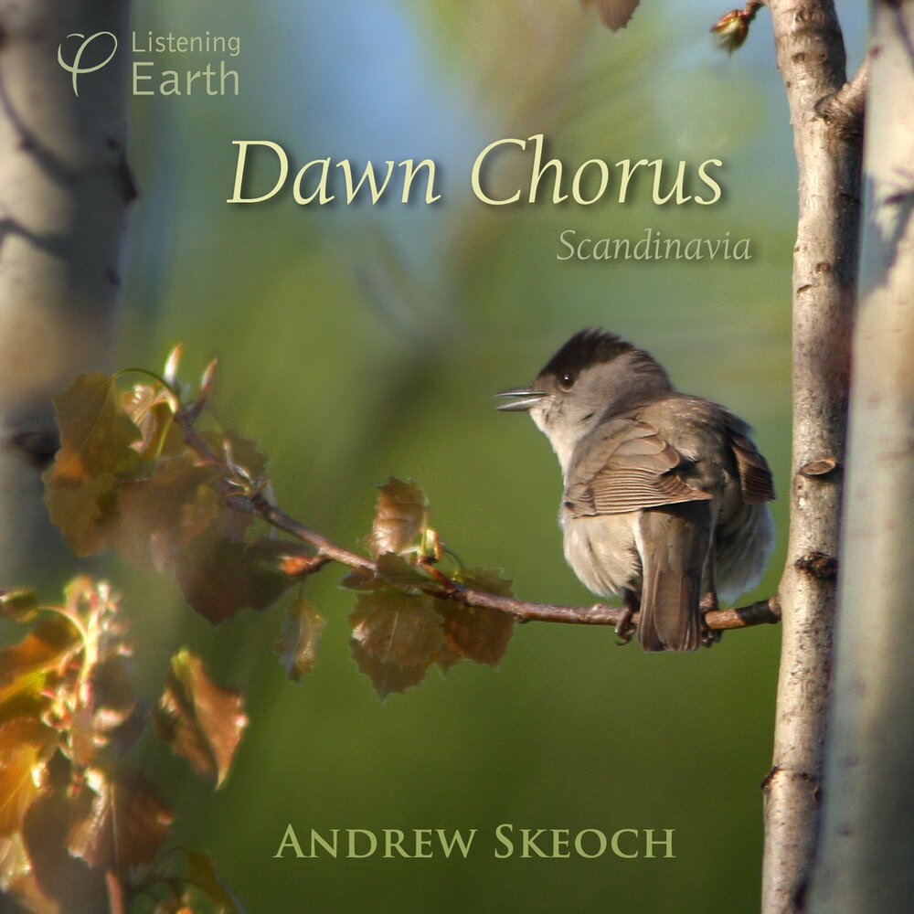 Dawn chorus. Dawn Chorus Lake. Down Chorus Lake. Dawn Chorus на русском.