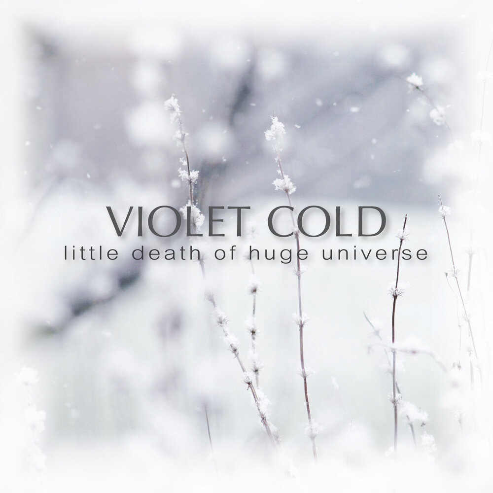 Violet Cold. Violet Cold - 2018. Violet Cold contact. Violet Cold музыка-.