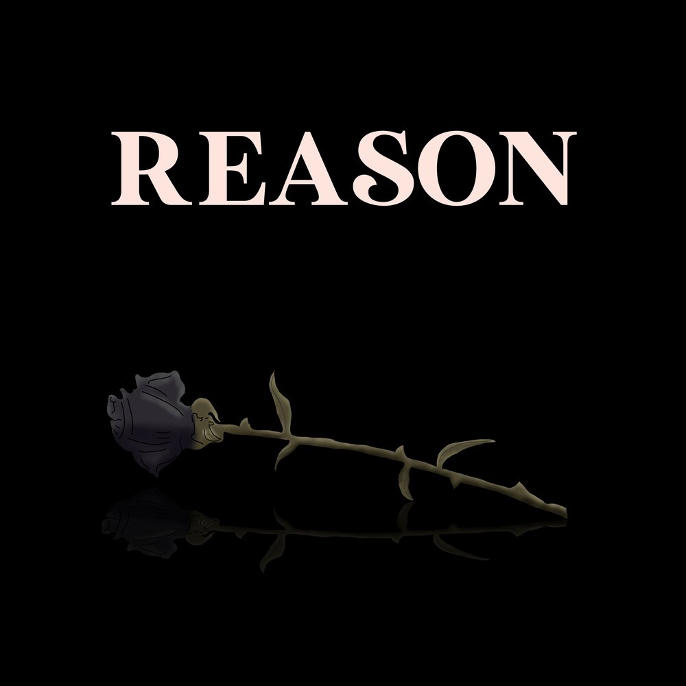 Text reason. Reason перевод.