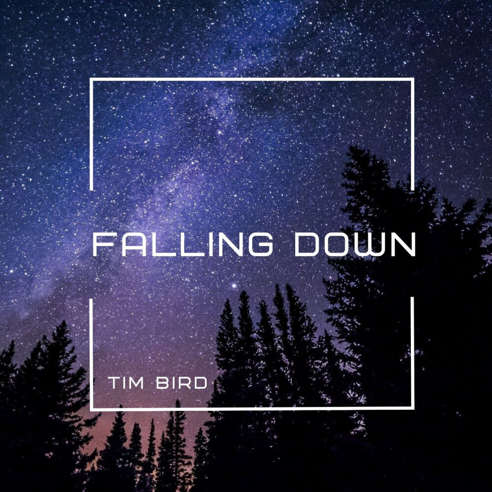 Falling bird