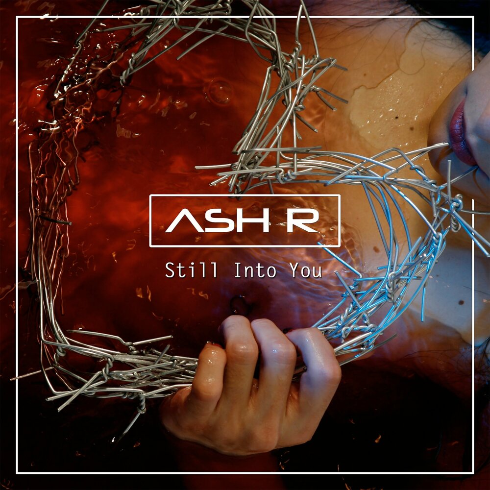 Into you бренд. Still into you. Paramore still into you.