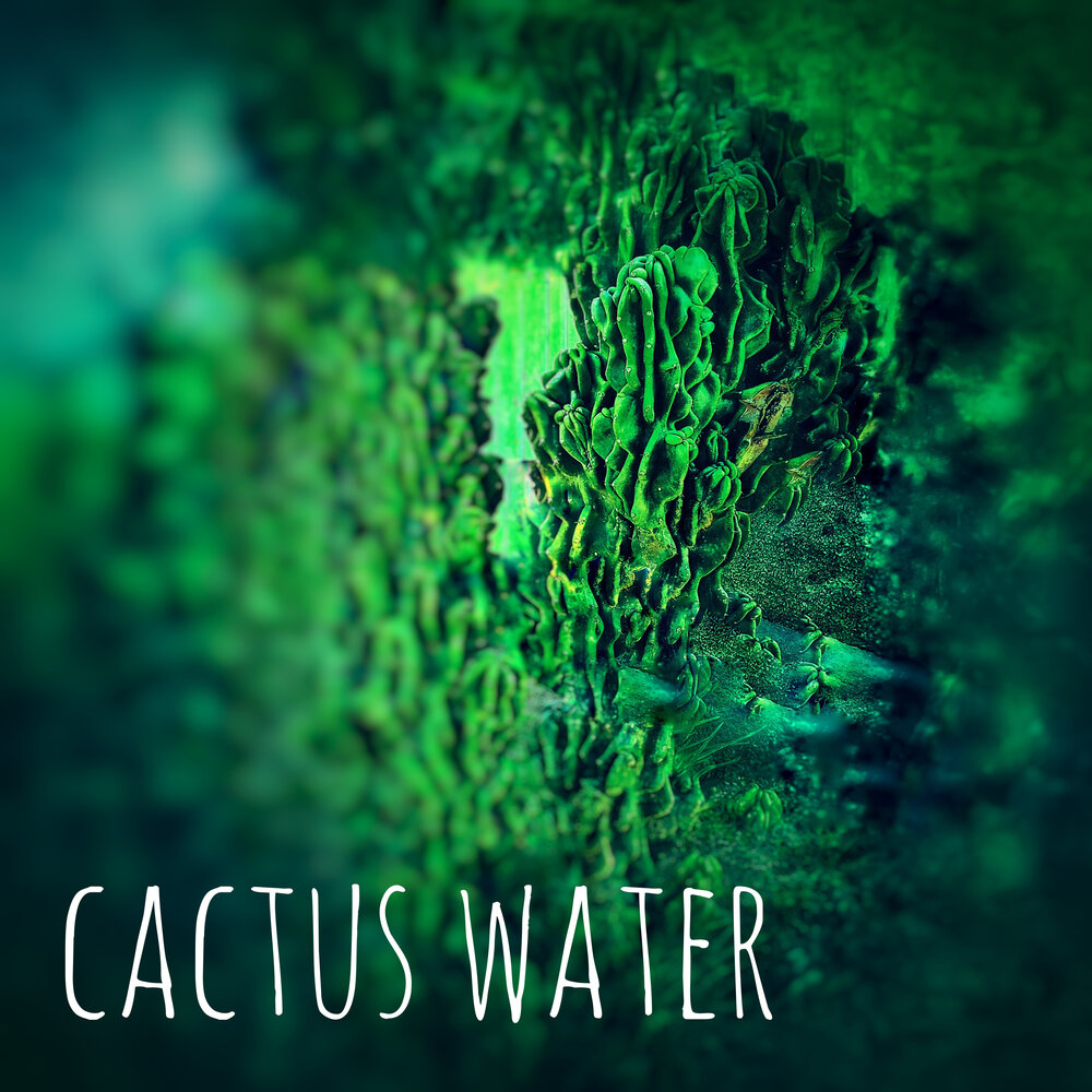 Cactus water. Вода с кактусом.