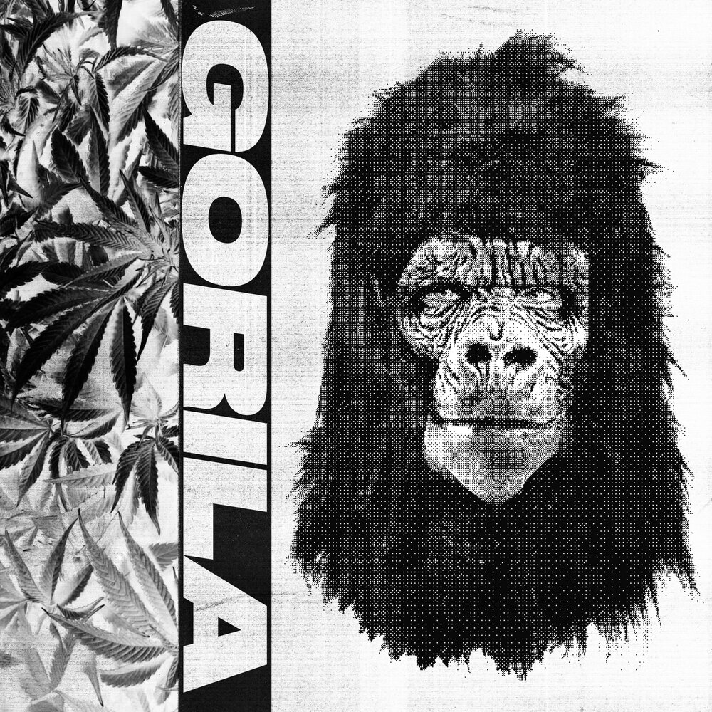 Трек с гориллой. Горила песни. Ог буда гориллы. Трек с гориллой. Gorilla glue tgh.