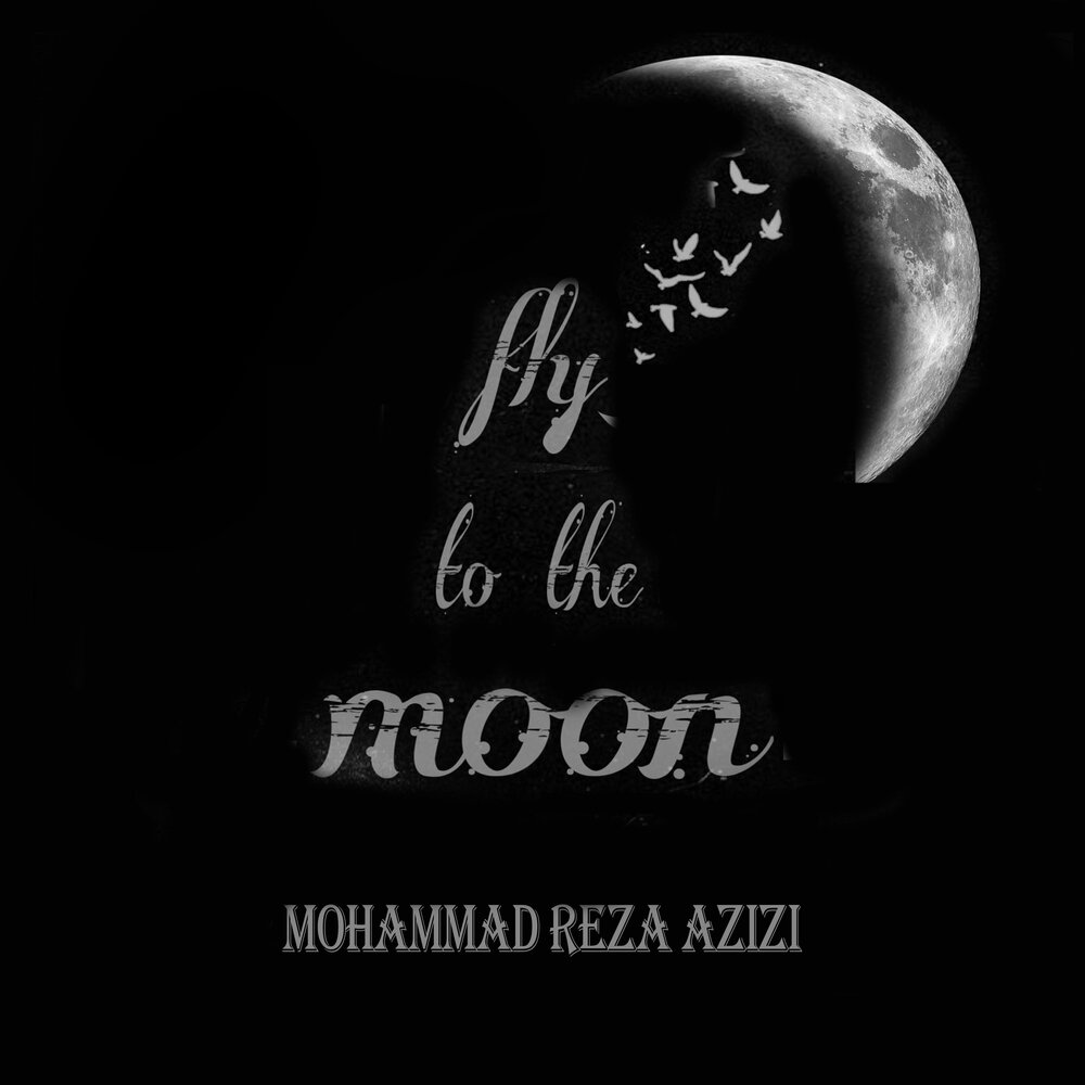 Fly to the moon