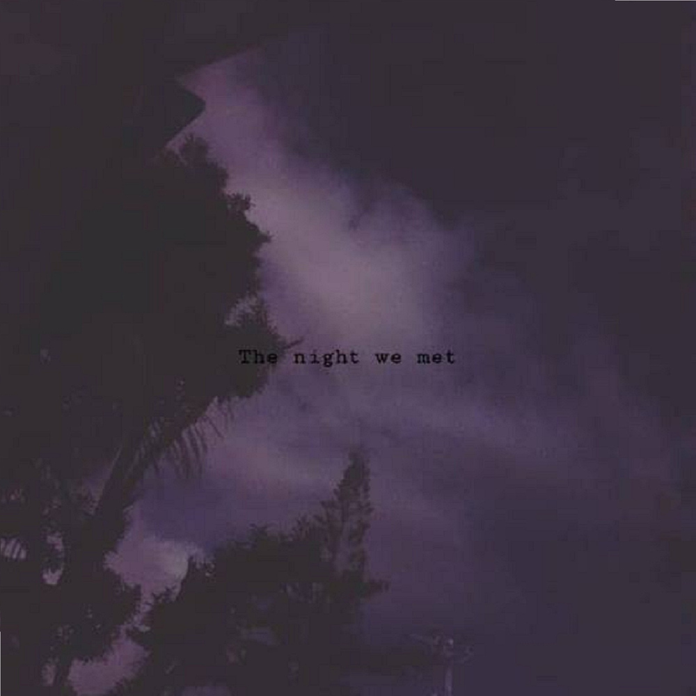Песня the color of the night. The Night we met. The Night we met обложка. Take me back to the Night we met.