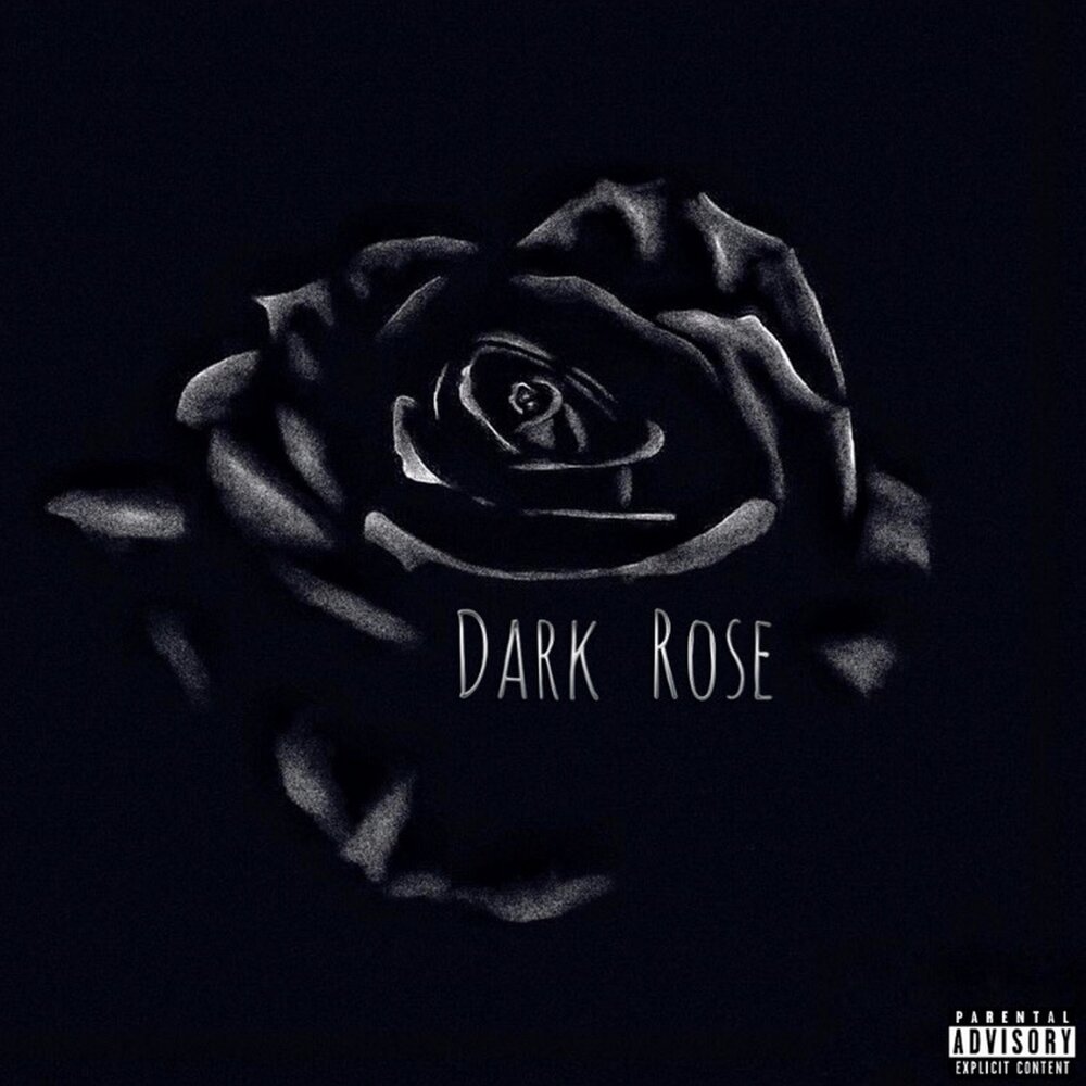 The dark rose. Dark Rose.