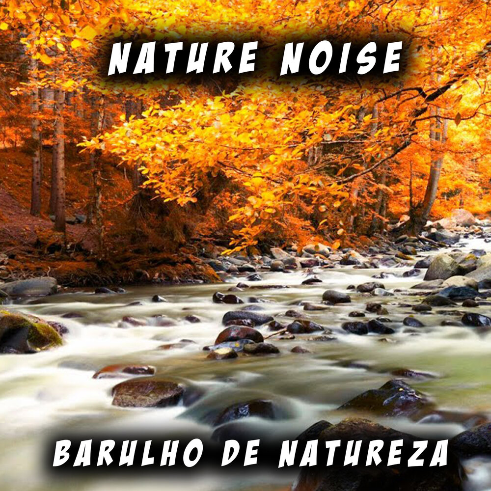 Nature noise