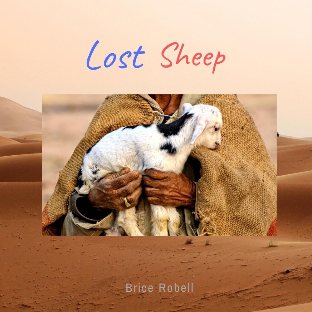 Lost sheep