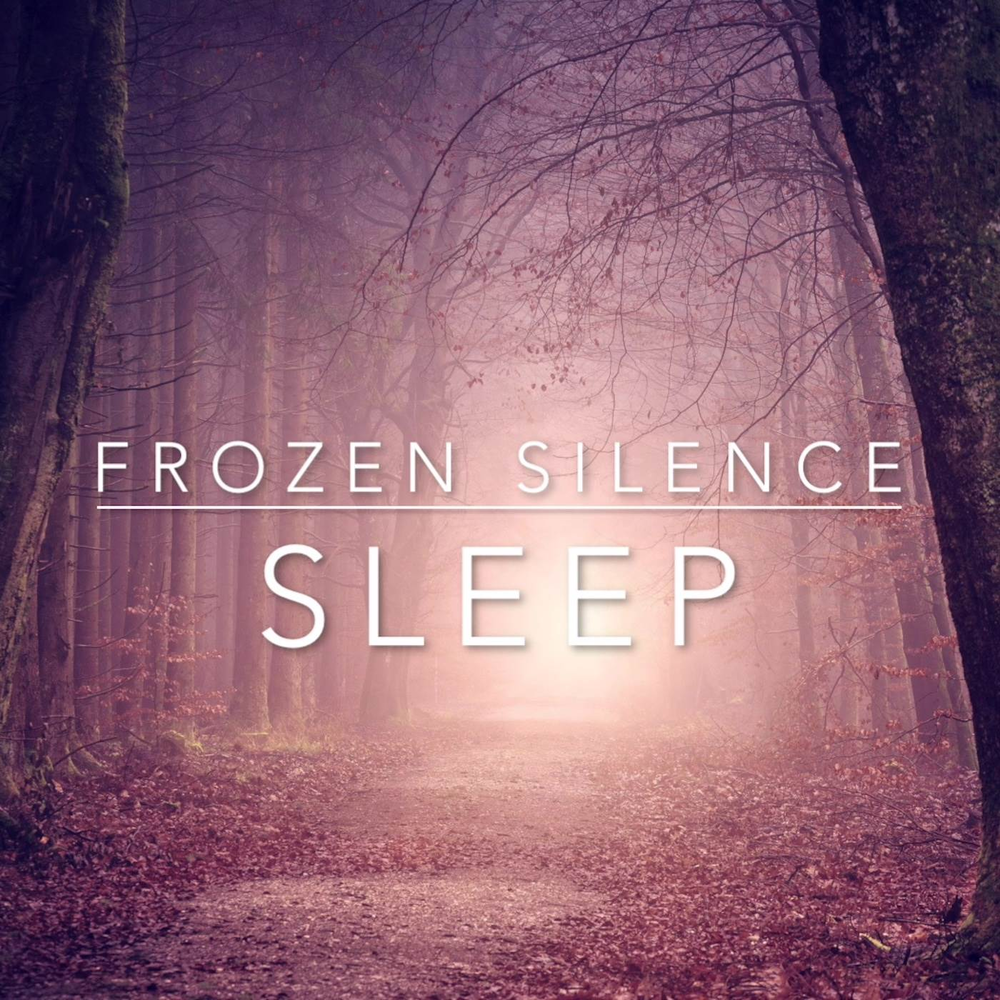 Frozen silence. Sleeping with Silence.