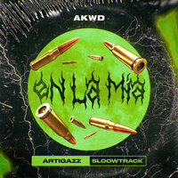 artist-cover