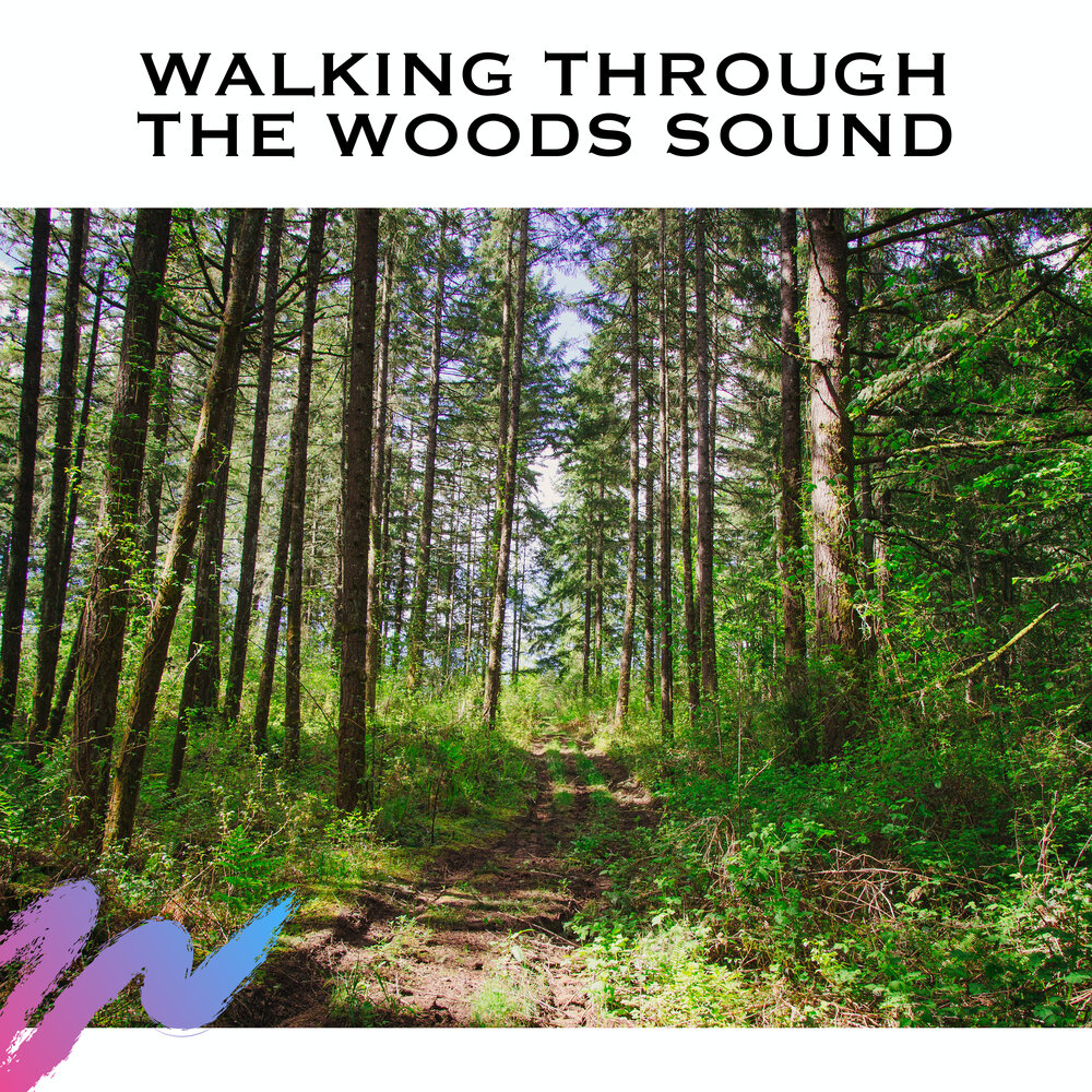 Лесная музыка слушать. Музыка леса и природы слушать. Walking through the Woods. Walk through the Forest. A walk in the Woods.