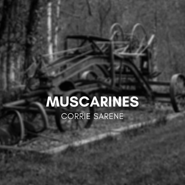 track-cover