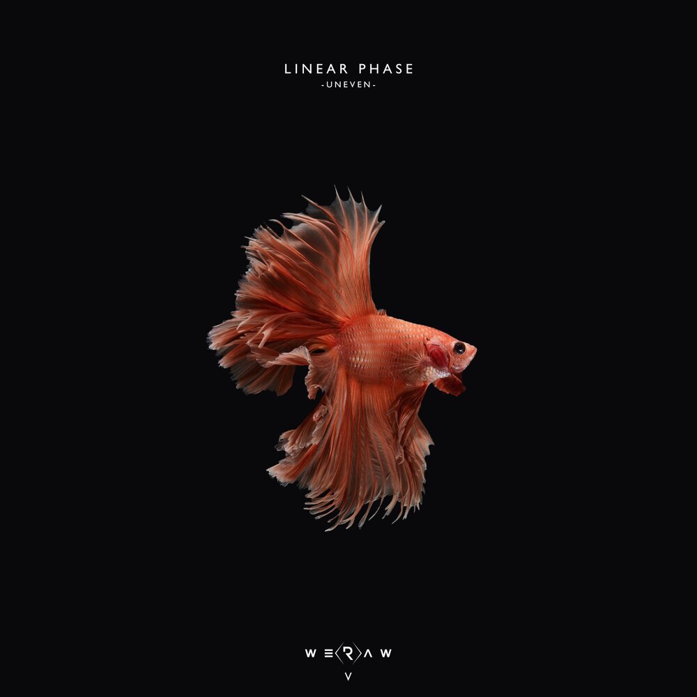 Linear phase always remember us. Linear phase always remember us