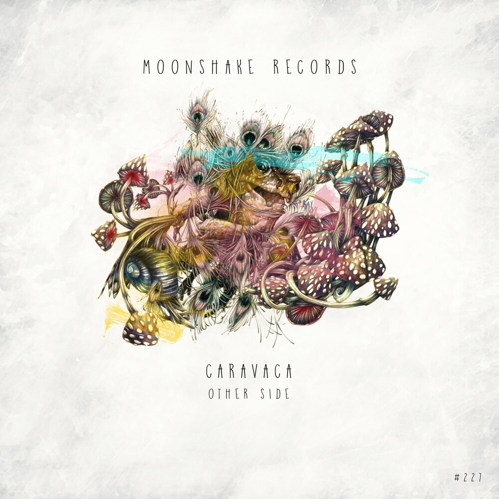 track-cover