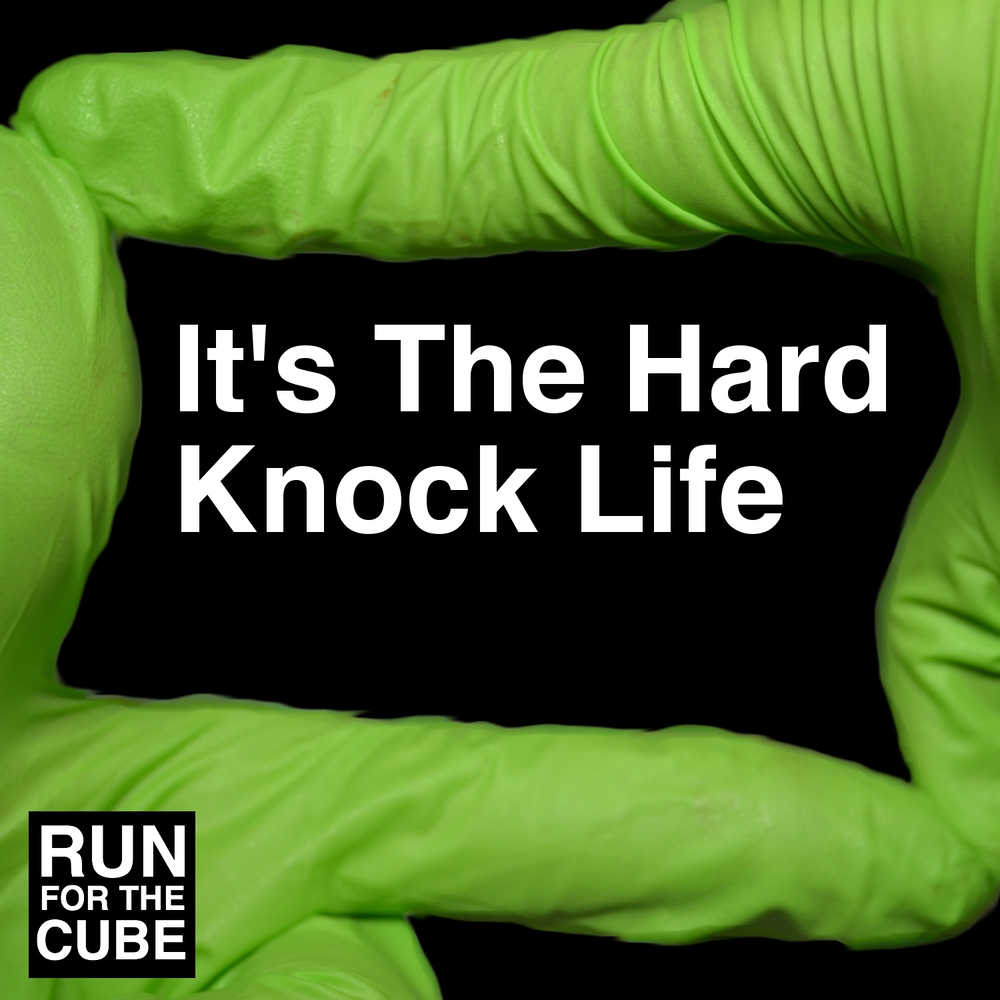 It's the hard-Knock Life. It's the hard-Knock Life слова. Its a hard Knock Life откуда.