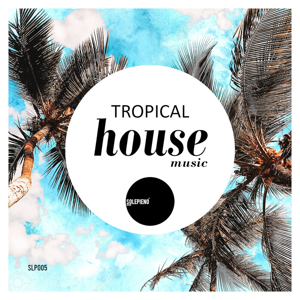 Музыка tropical. Тропическая музыка. Tropic Music. Tropical Music.