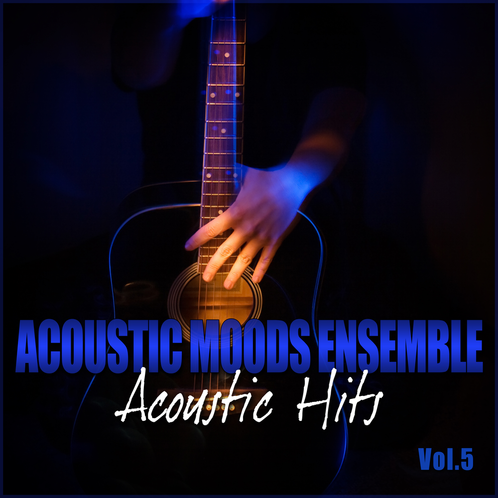 Фото гитар на аву Acoustic Moods Ensemble альбом Acoustic Hits Vol. 5 слушать онлайн бесплатно на 
