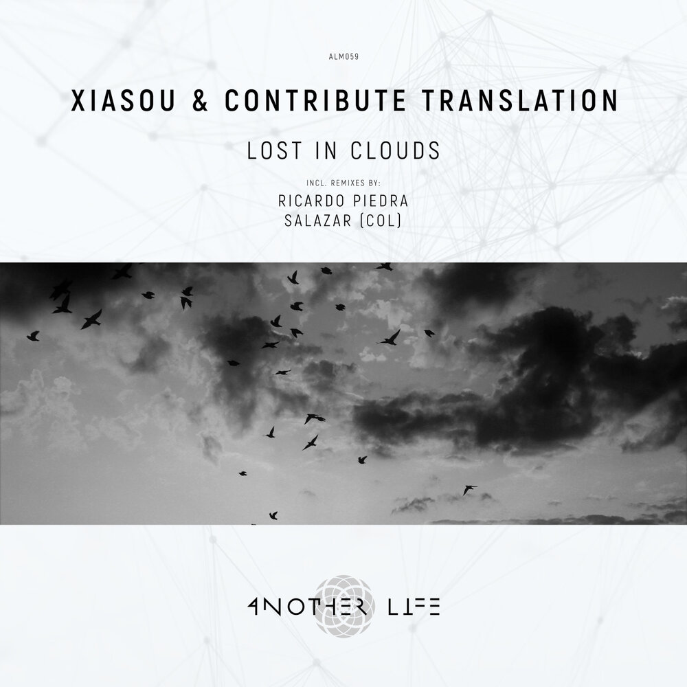 Lost in the cloud. Contribute перевод.