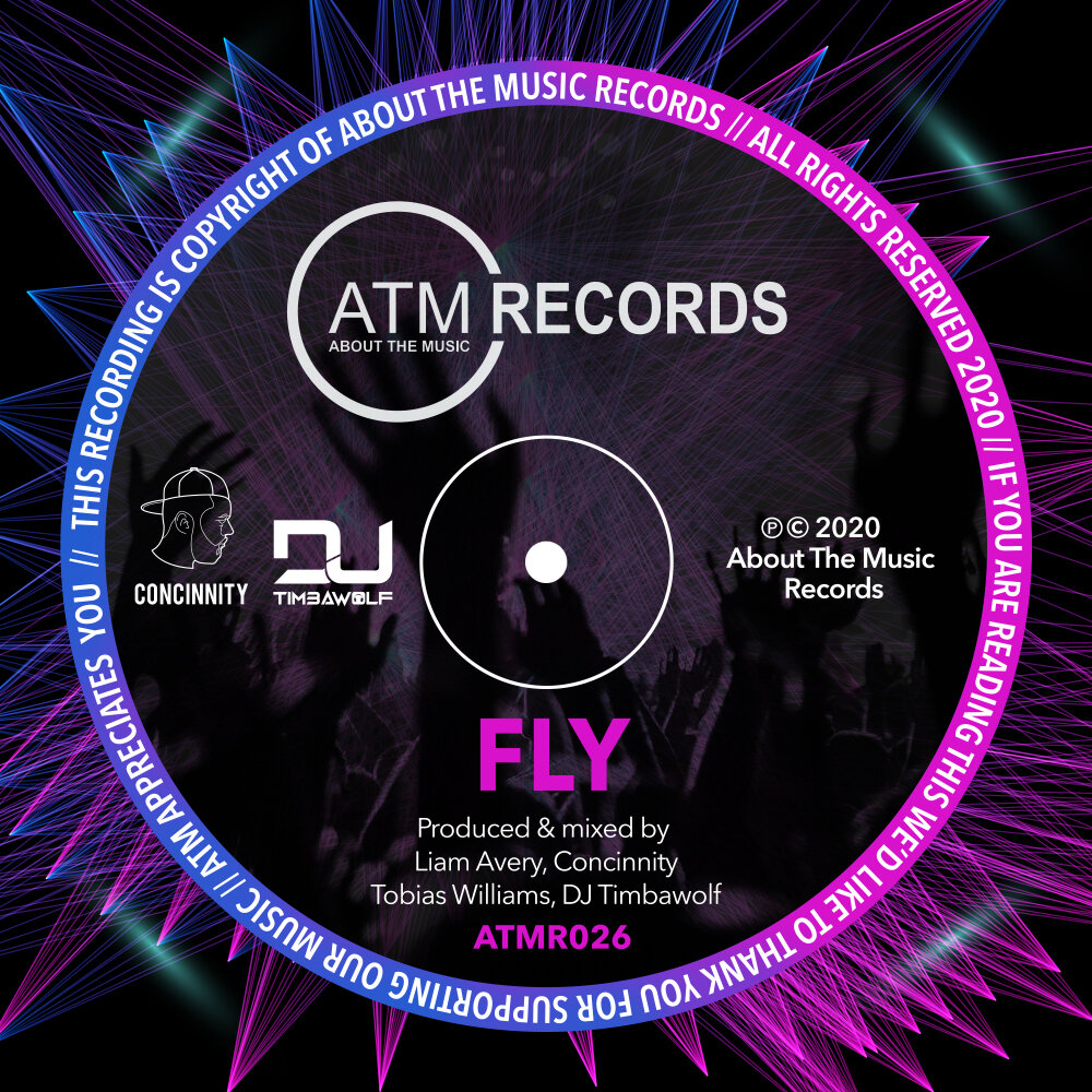 Fly original mix. Concinnity. Lost Concinnity - Lost Concinnity.